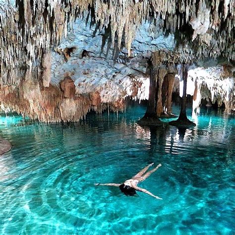 Experiencias Riviera Maya Tulum 2022 Lo Que Se Debe Saber Antes De Viajar Tripadvisor