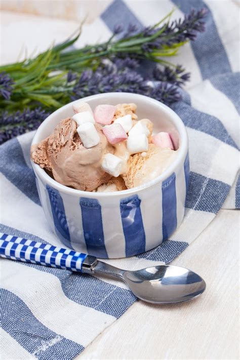 Homemade Vanilla And Chocolate Ice Cream With Marshmallow Serve Stock