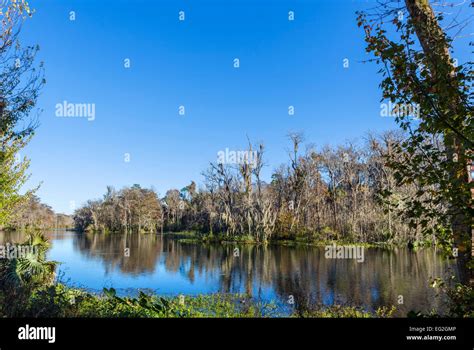The Silver River In Silver Springs State Park Near Ocala Marion