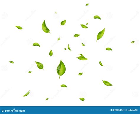 Falling Green Leaves Fresh Tea Random Leaves Flyi Vector Illustration