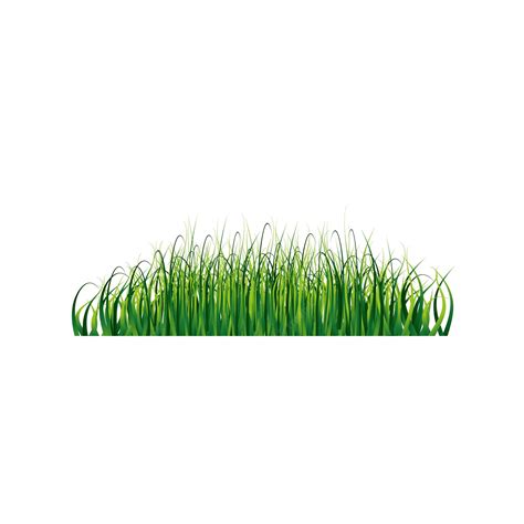 Premium Vector Grass Border