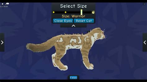 Warrior Cats Ultimate Edition All Of My Release Morphs So Far