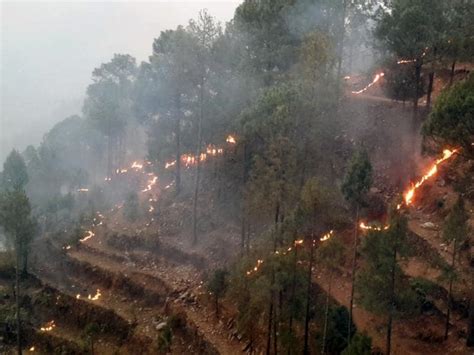 Pics Video Uttarakhand Forest Fires Spread To 13