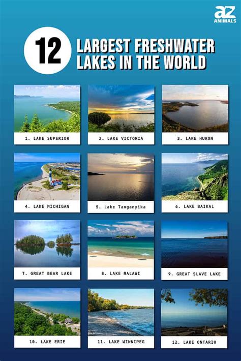 The 12 Largest Freshwater Lakes In The World Az Animals
