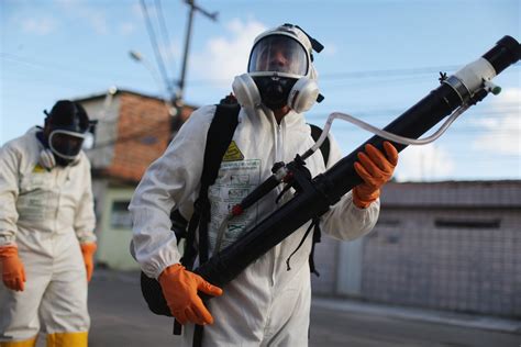Zika Virus Prompts Rio 2016 Olympic Games Concern From Ioc