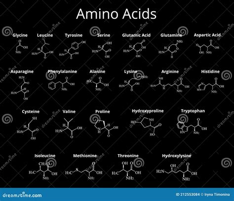 Amino Acids Chemical Molecular Formula Of Amino Acids Vector Illustration On Isolated