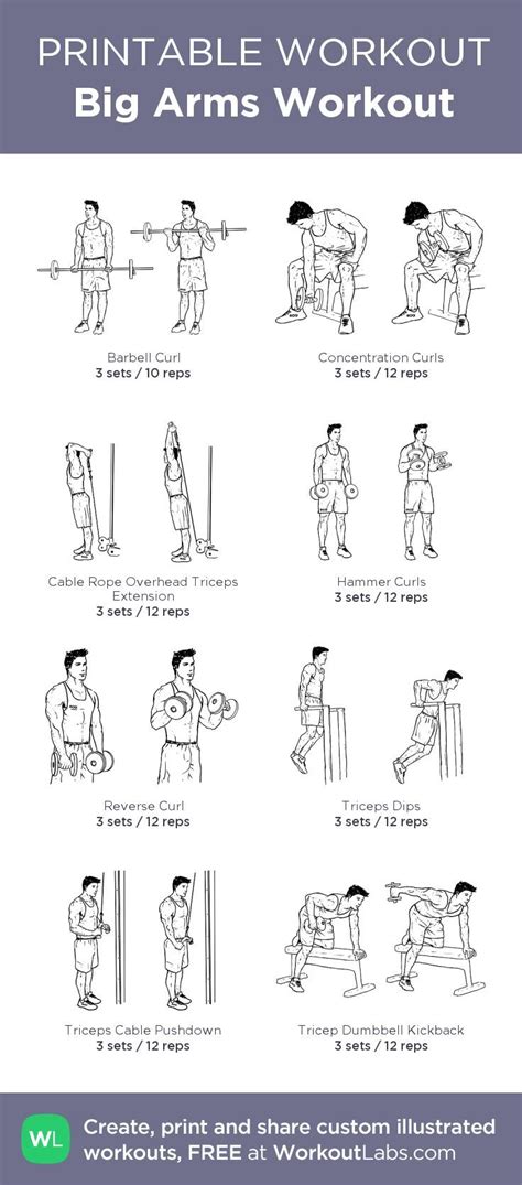 Ridge muscles of the arm. Big Arms Workout: my custom printable workout by ...