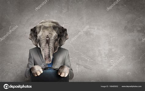 Elephant Dressed In Business Suit Mixed Media Stock Photo By