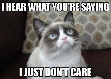 Grumpy Cat Quotes Funny Grumpy Cat Memes Cat Jokes Funny Relatable