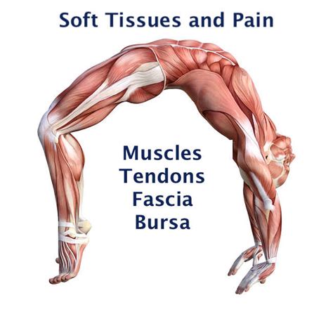 Maybe you would like to learn more about one of these? Soft Tissues (Muscle, Tendon, Bursa, Fascia) & Soft Tissue Related Pain of the Hip and Pelvis