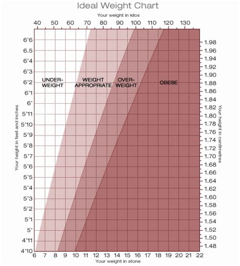 Average Female Height Weight Chart