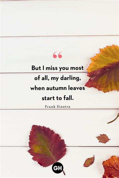140 Best Fall Instagram Captions Simple And Cute Autumn Captions