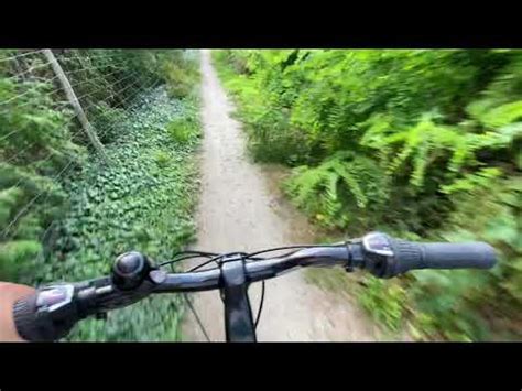 Ormanda Bisiklet sürme drive bike in the Forest YouTube