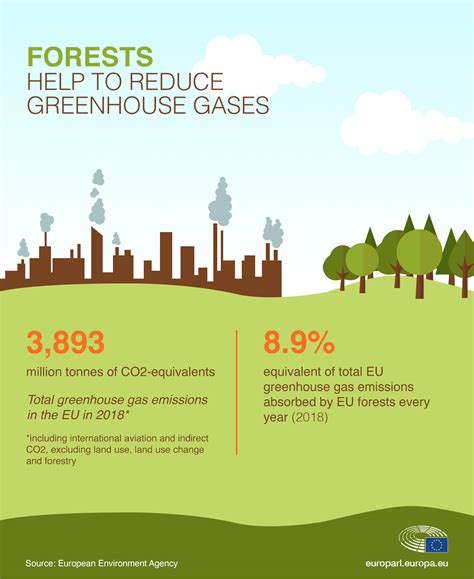 Climate Change Using Eu Forests To Offset Carbon Emissions News