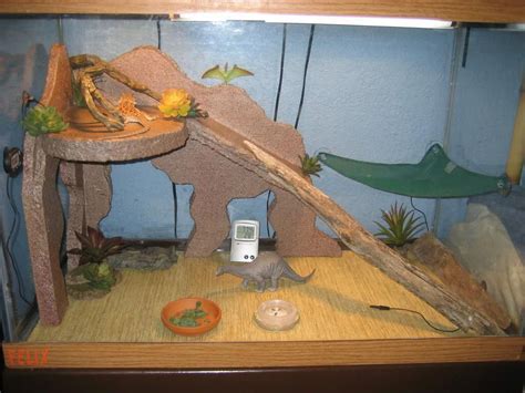 These custom manufactured reptile enclosures are perfect for ball pythons, boa constrictors, chameleons, iguanas, bearded dragons, chameleons, geckos, anoles, skinks, tegus and a variety of other snakes and reptiles. homemade bearded dragon habitat - Google Search #beardeddragondiy | Bearded dragon, Bearded ...