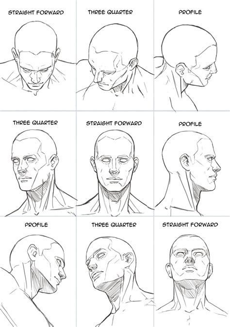 Human Head Sheet By Hoelho Human Anatomy Art Anatomy Sketches