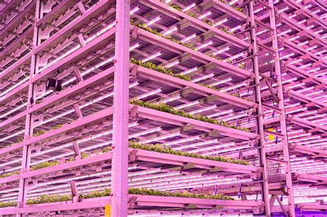 Robotic Crop Management For Vertical Farming Systems Centre For