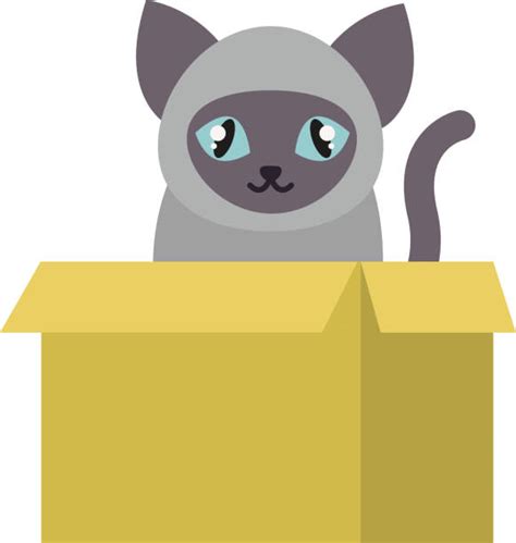 Royalty Free Cat Box Clip Art Vector Images And Illustrations Istock