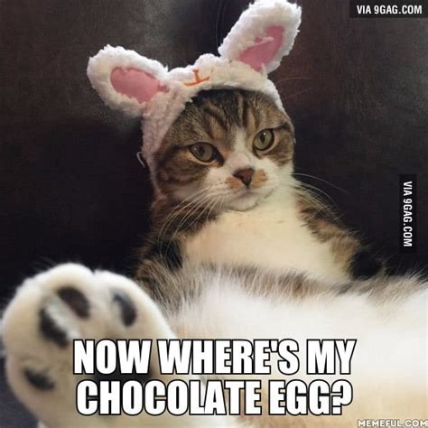 These easter bunnies made out of dust bunnies are about the only easter decorations that i could think about putting up in my house. Happy Easter everyone! - 9GAG