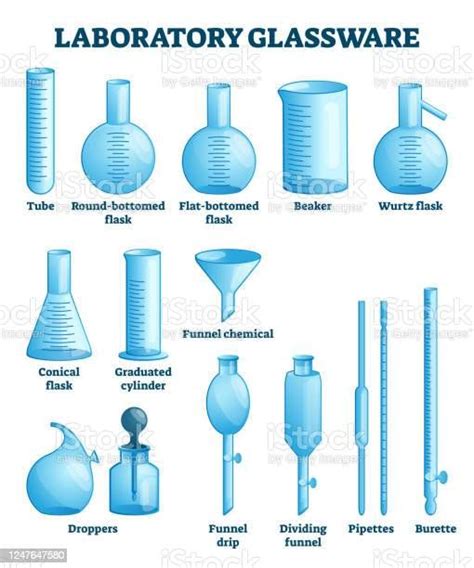 Laboratory Glassware Vector Illustration Labeled Science Equipment Science Equipment