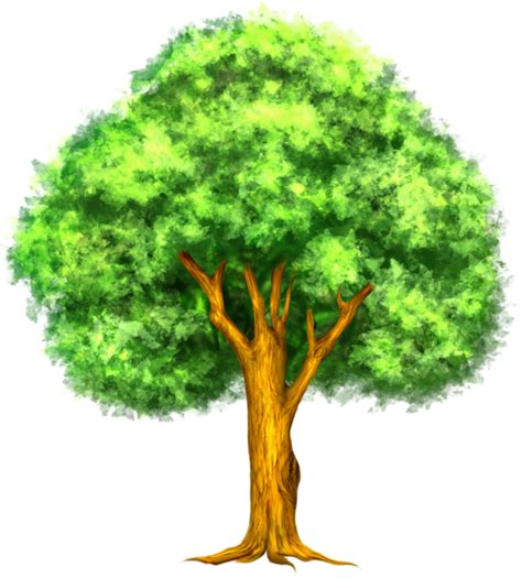 Tree clipart realistic, Tree realistic Transparent FREE for download on WebStockReview 2021