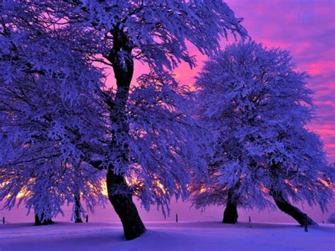 Beautiful Winter Scene Winter Wonderland Pinterest Winter