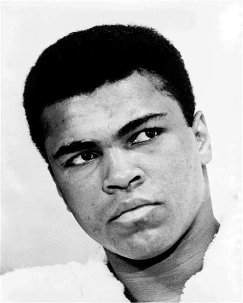 Muhammad Ali Legendary Boxer The Greatest 8x10 Publicity Photo Zz 039