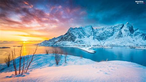 Winter Lofoten Reine Village Houses Norwegian Sea