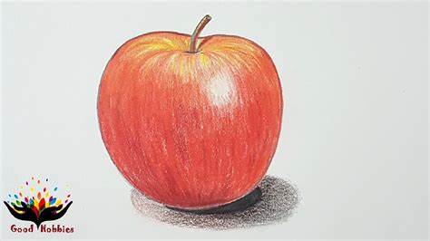 Pencil Colour Apple Sketch How To Draw Apple Using Pencil Colour
