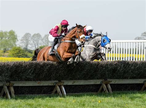 South Notts Point To Point Horse Racing Returns To Thorpe Lodge On