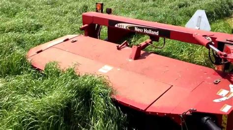 Mowing Ryegrass Youtube
