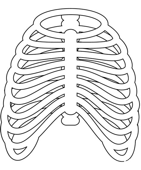 Rib Cage Coloring Page ColouringPages