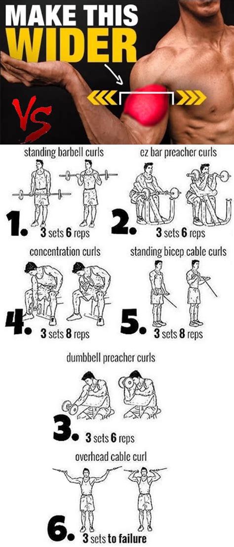 Make Biceps Wider Weight Training Workouts Biceps Biceps Workout