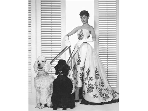 The Most Glamorous Vintage Photos Of The 1950s Readers Digest