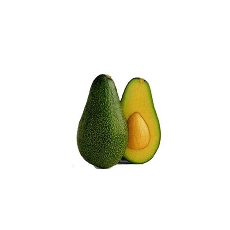 It is native to mexico and central america. Fuerte Avocado Tree - The Most Popular B variety Avocado Tree