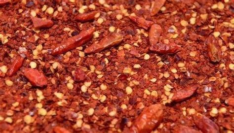 Chili Flakes Type Dried At Best Price In Mumbai Maharashtra From