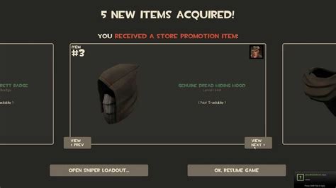 Tf2 Thief Promotional Items Youtube