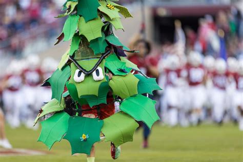 Stanford Tree Stanfords Unofficial Mascot Explained