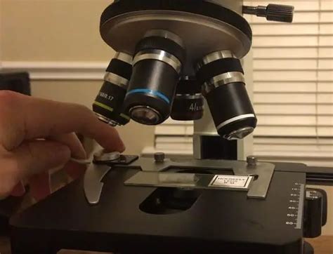 How To Use A Microscope 16 Easy Steps With Pictures Microscope
