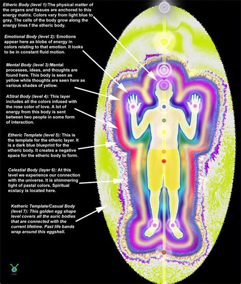 this is a diagram showing the first 7 layers of the aura they correspond to the first 7 chakras