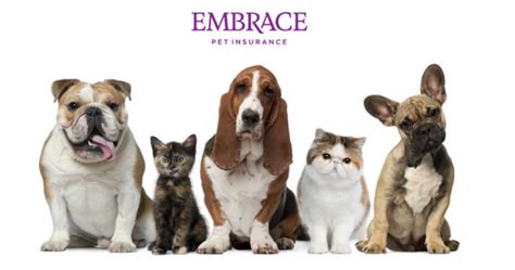 Embrace pet insurance offers pet owners a lot of flexibility with its wide range of deductibles, reimbursement percentages, and annual maximums. Embrace Pet Insurance Review 2018 - The Insurance Banker
