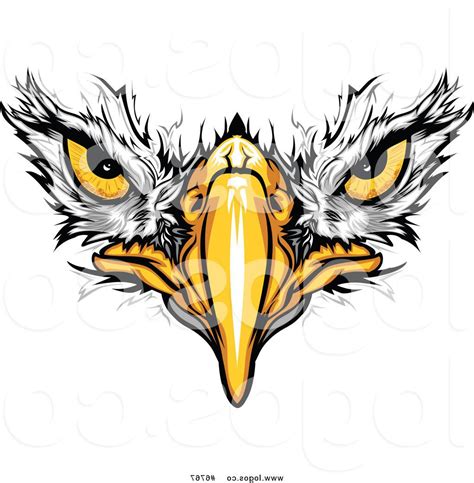 Eagle Face Clipart 20 Free Cliparts Download Images On Clipground 2023