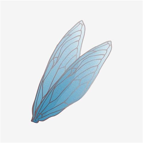 Insect Wings Png Vector Psd And Clipart With