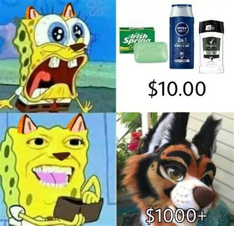 The Best Furries Memes Memedroid