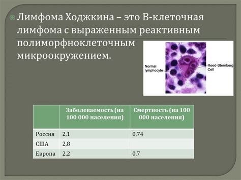 Oepa лимфома схема 88 фото