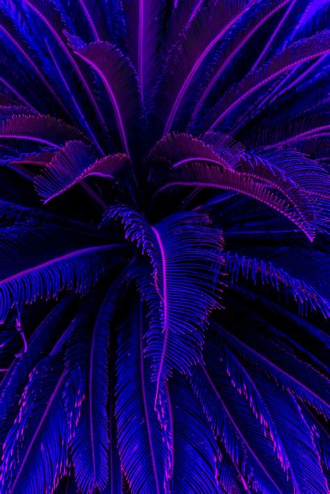 Purple Aesthetic Iphone Wallpapers Top Free Purple Aesthetic Iphone