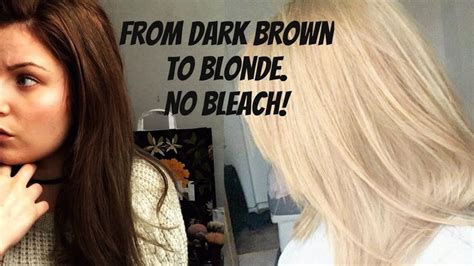 How To Go From Dark Brown To Blonde No Bleach No Damage Brown Hair