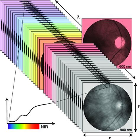 Principle Of Retinal Hyperspectral Hs Imaging In Hs Imaging A Narrow Download Scientific