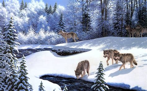Wallpaper 1920x1200 Px A Animals Art Bright Cold Forest