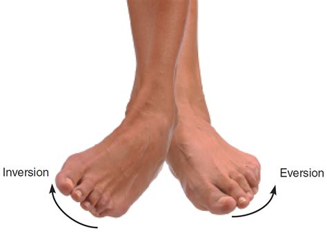 Pronation And Supination Of The Forearm Pronation And Supination Of Foot